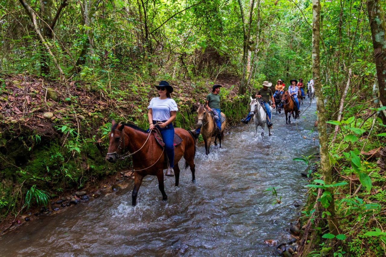 Hotel Campestre La Potra Apiay Dış mekan fotoğraf