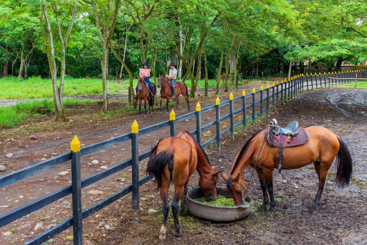 Hotel Campestre La Potra Apiay Dış mekan fotoğraf