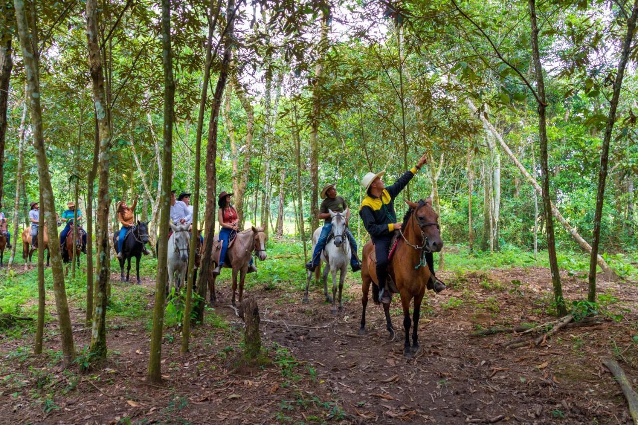 Hotel Campestre La Potra Apiay Dış mekan fotoğraf